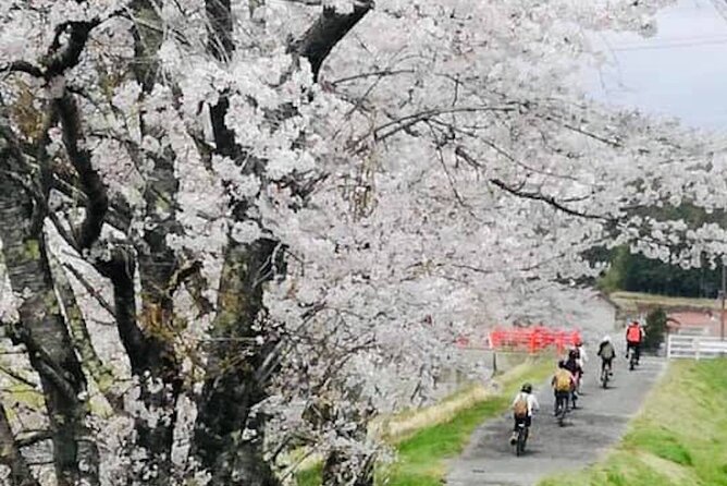 Hiroshima Country Cycling: Explore Rural Life 1 HR from City - Oasa’s Old Main Street Moves at a Slow Pace