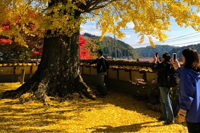 Hiroshima Country Cycling: Explore Rural Life 1 HR from City - Jonah’s Guidance Helps with the Practical Details
