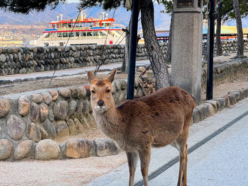 Hiroshima: Hiroshima and Miyajima UNESCO Sites 1-Day Tour - Itsukushima Shrine and the floating torii