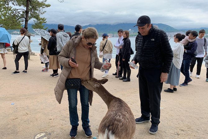 Hiroshima / Miyajima Full-day Private Tour with Government Licensed Guide - How the public transport plan affects your day