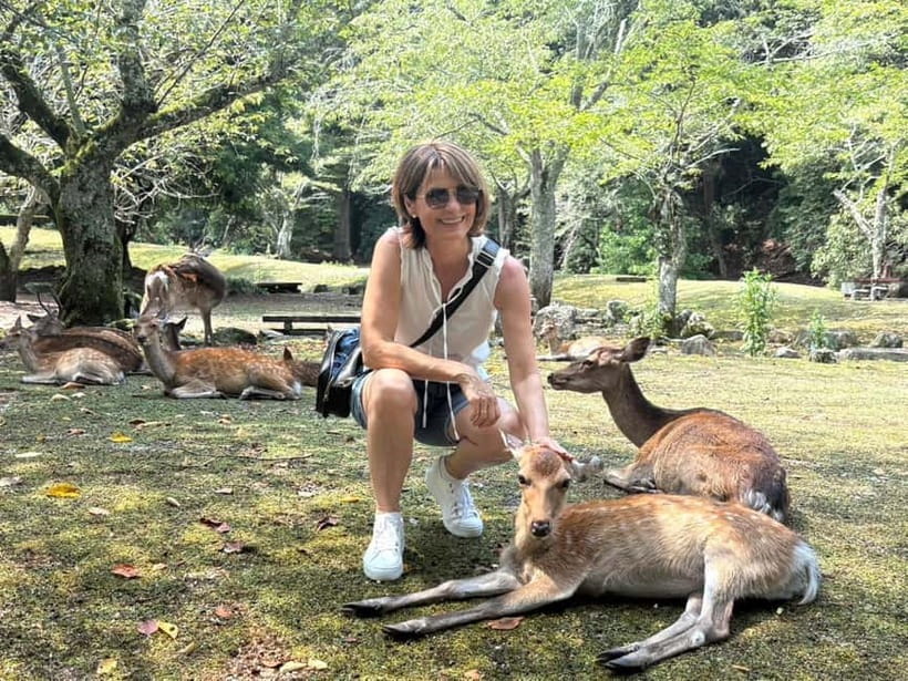 Hiroshima: Miyajima Island Half-Day Tour with Guide - Omotesando Street: oysters, sweets, and browsing