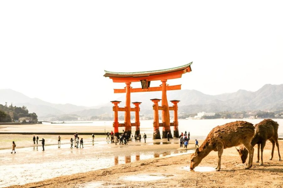 Hiroshima: Miyajima Peace Memorial Icons of Peace and Beauty - Itsukushima Shrine at high tide