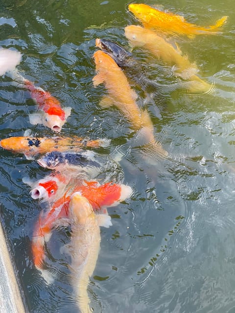 Hiroshima & Miyajima: UNESCO A-Bomb Dome & Itsukushima - Returning to Hiroshima and seeing the city