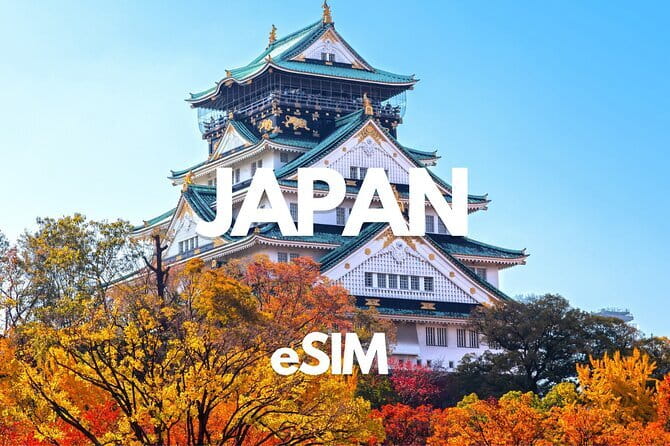 Hiroshima: Private Walking Tour with a Local - What the local guides add