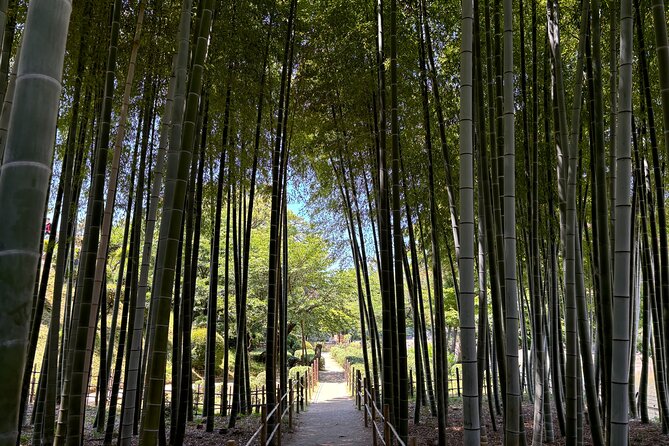 Hiroshima’s Heart: A 4-Hour Private Storytelling Walk - Four hours on foot: what the pace means
