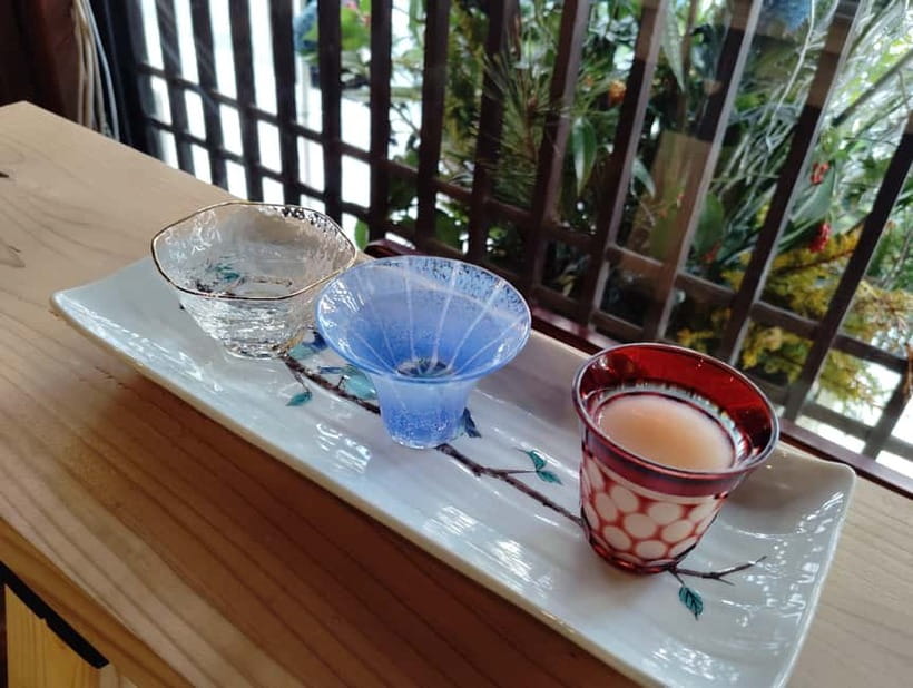 Hiroshima: Saijo Sake Tasting at 7 Breweries Guided Tour - Who will enjoy this Saijo afternoon