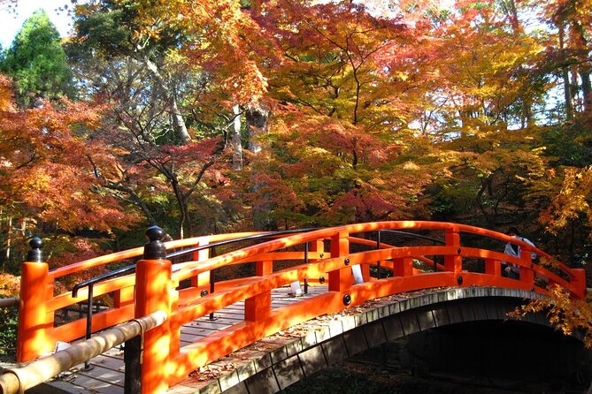 Historical Kyoto E-Bike Tour - What the $99.49 price buys you