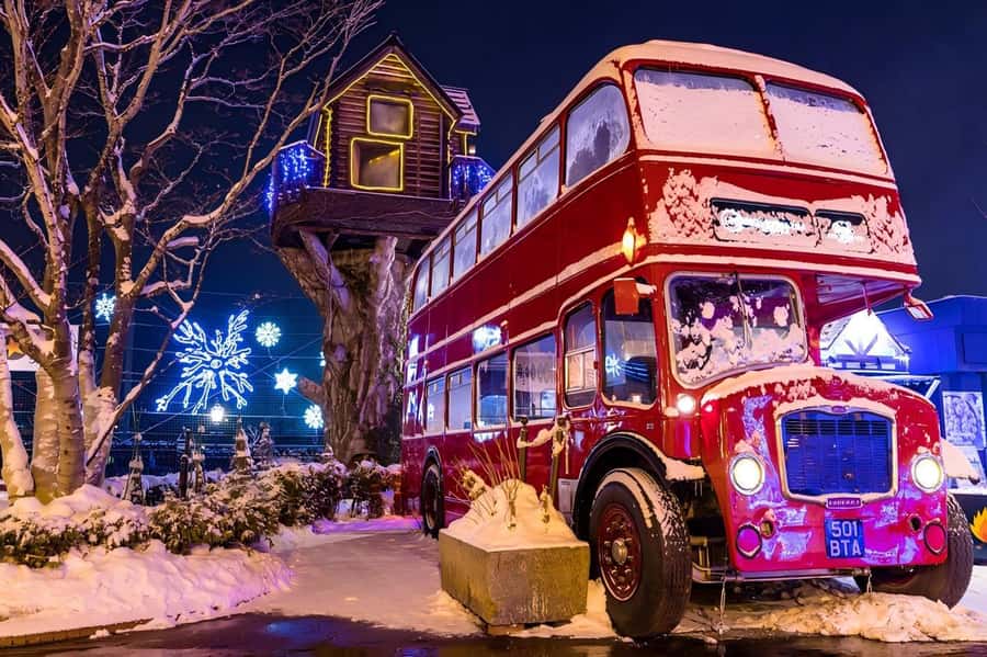 Hokkaido, Sappro, Otaru & Cape Kamui One-day Tour - Who should book this Hokkaido day trip?