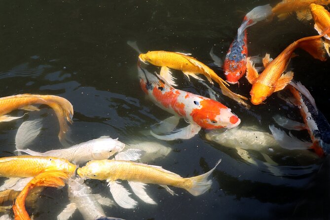 Imperial Palace East Garden and Edo Castle Walking Tour in Tokyo - Gardens, seasons, and expectations