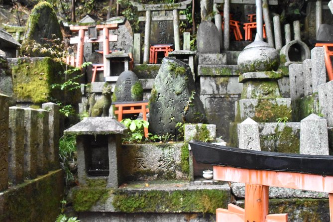 Inside of Fushimi Inari - exploring and lunch with locals - Group size, price, and value