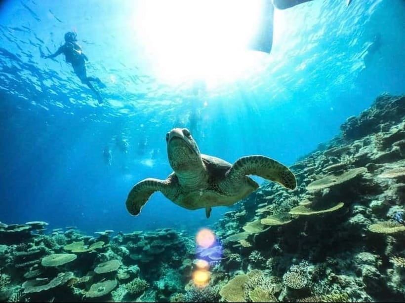 Iriomote: Boat Snorkeling Tour at Barasu Island - The 10-minute speedboat ride