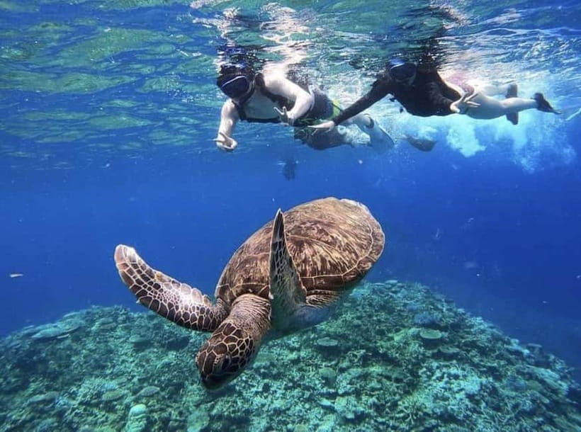 Iriomote: Boat Snorkeling Tour at Barasu Island - About 90 minutes at two snorkeling spots