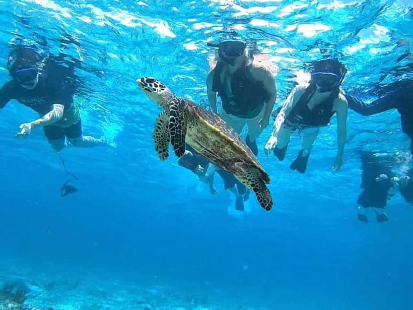 Iriomote: Boat Snorkeling Tour at Barasu Island - Equipment, hot shower, and what to bring