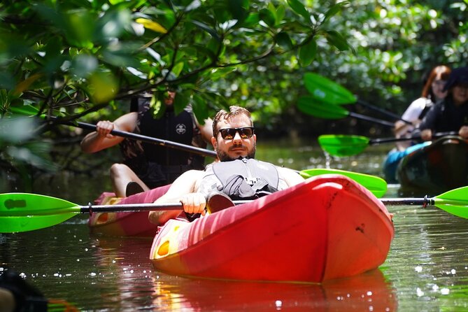 Iriomote Island 1-Day Snorkeling & Mangrove SUP or Canoe - Key points at a glance