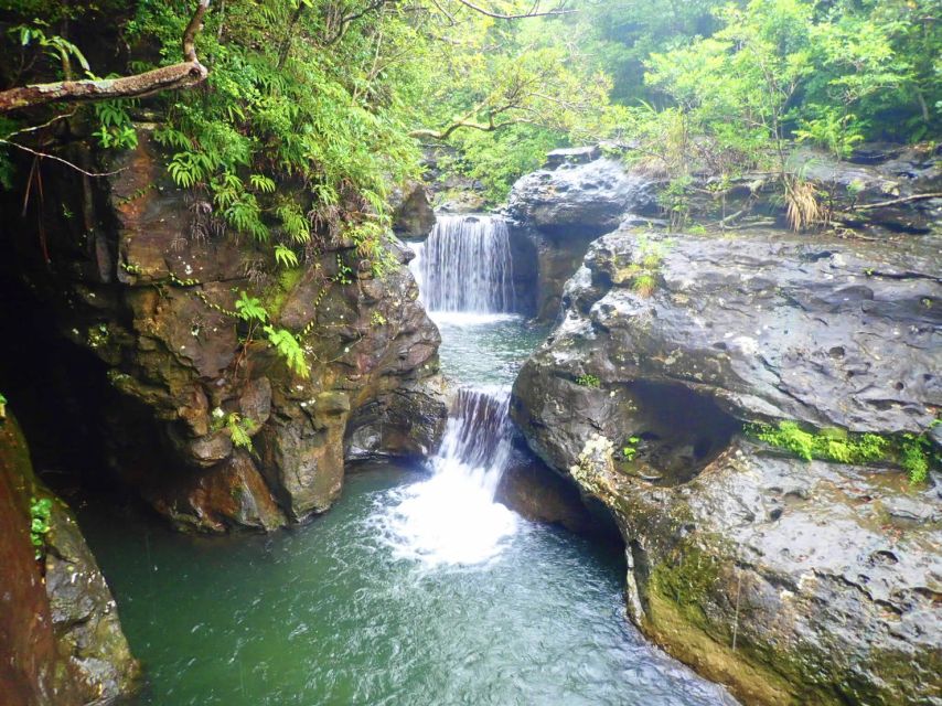 Iriomote Island: Guided 2-Hour Canyoning Tour - What to wear and what comes with the price