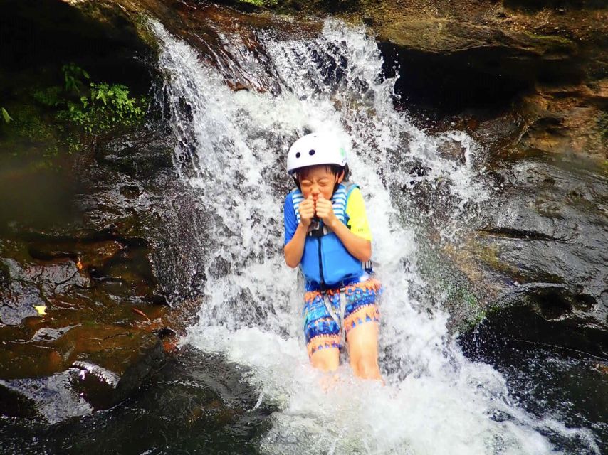 Iriomote Island: Guided 2-Hour Canyoning Tour - The real value of a two-hour tour