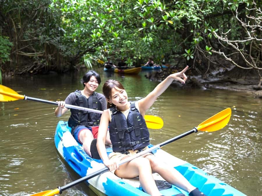 Iriomote island: Mangrove River SUP or Canoe Cruising Tour - Paddling into Iriomote’s mangrove world