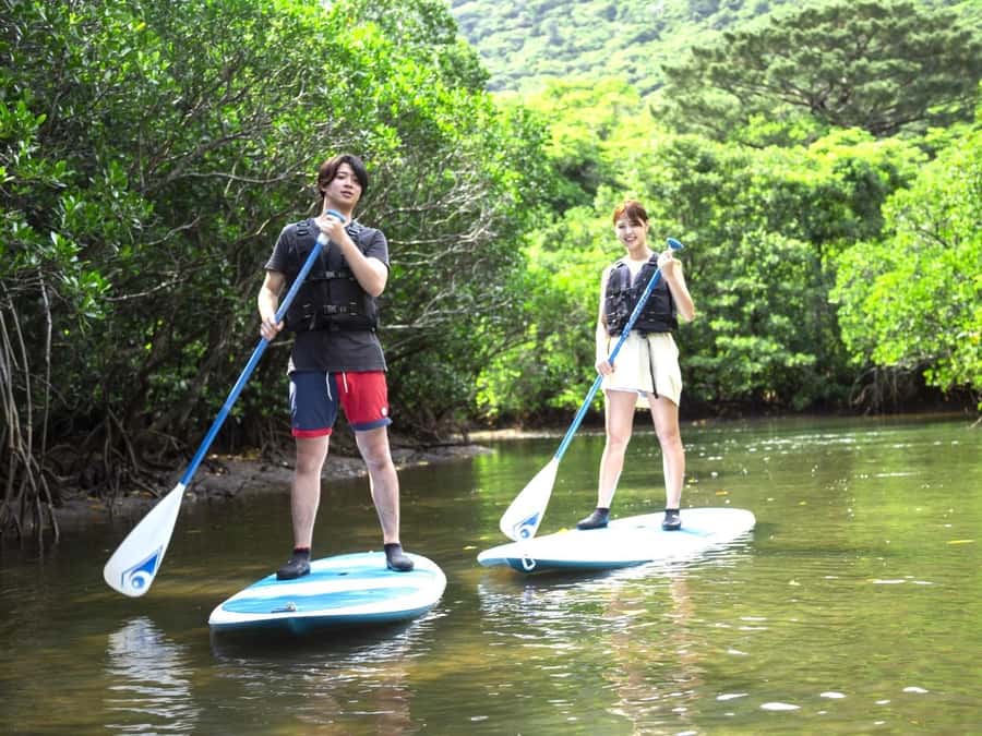 Iriomote island: Mangrove River SUP or Canoe Cruising Tour - What happens at Uehara Port