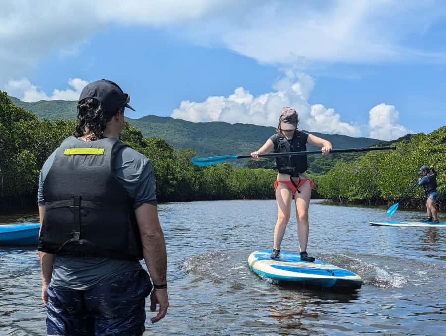 Iriomote island: Mangrove River SUP or Canoe Cruising Tour - Low tide and the short mangrove walk