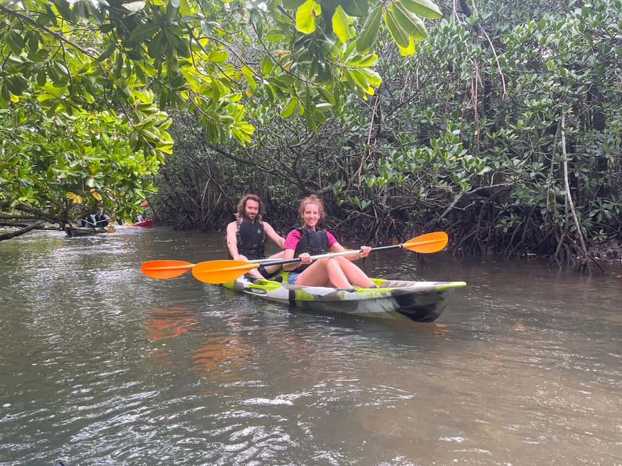 Iriomote island: Mangrove River SUP or Canoe Cruising Tour - Guides who make the difference