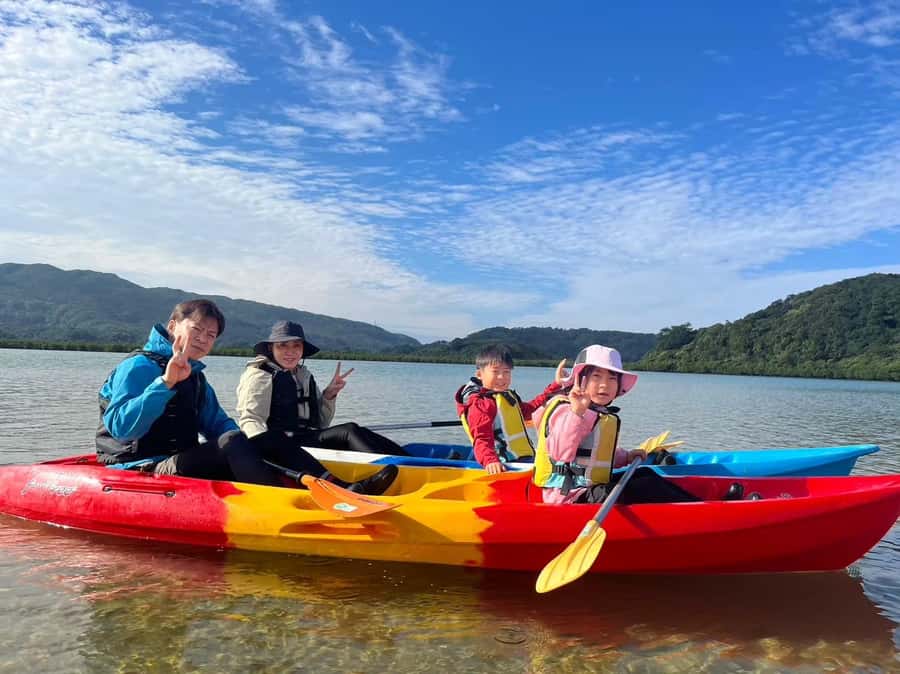 Iriomote island: Mangrove River SUP or Canoe Cruising Tour - Family appeal, with real limits
