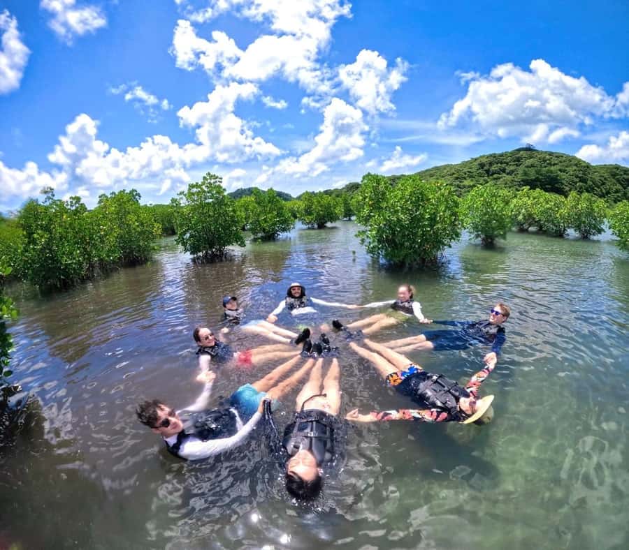 Iriomote island: Mangrove River SUP or Canoe Cruising Tour - Rain, tide, and changing start times