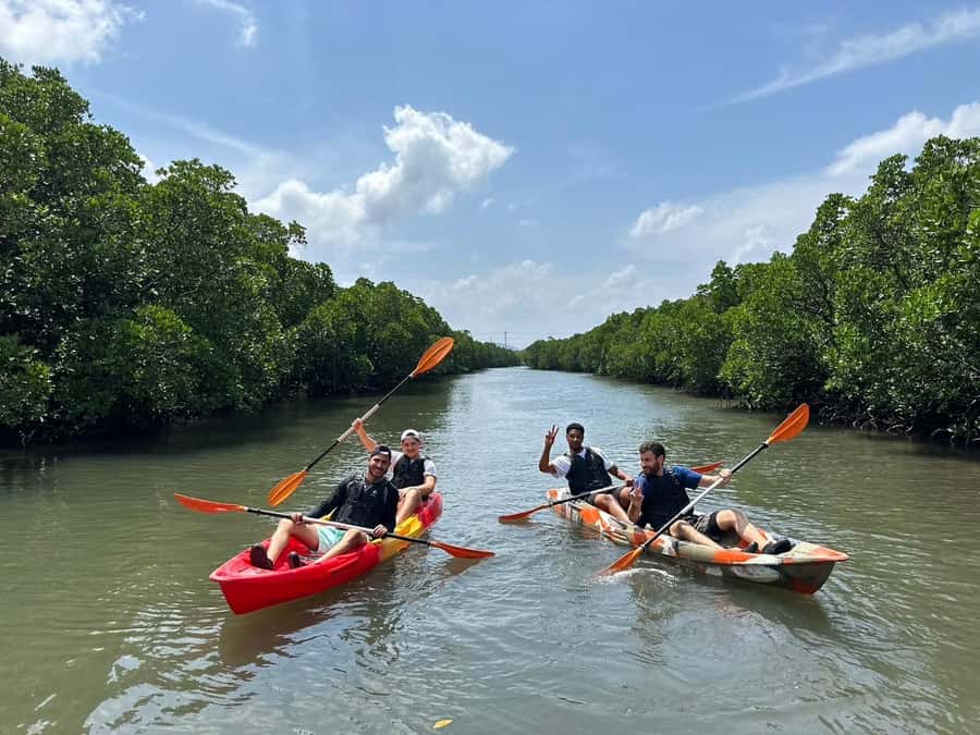 Iriomote island: Mangrove River SUP or Canoe Cruising Tour - Who should book this Iriomote outing?