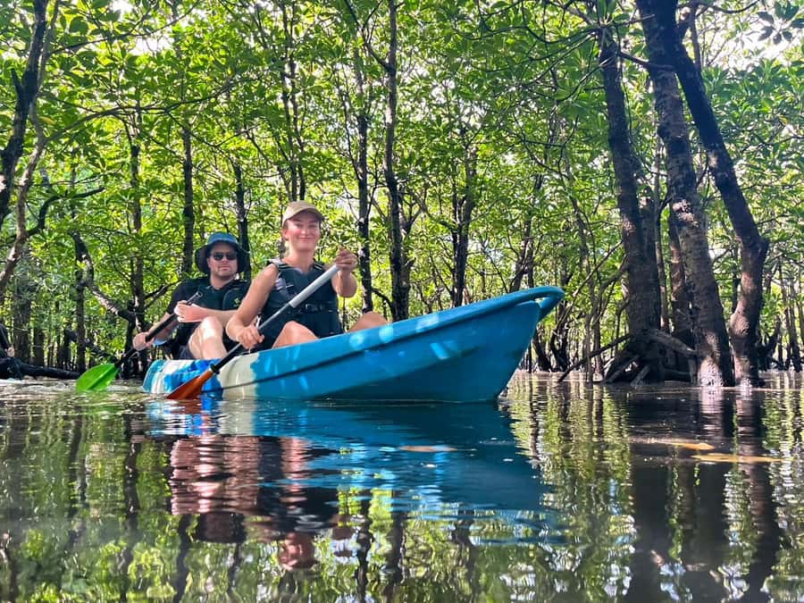 Iriomote island: Mangrove River SUP or Canoe Cruising Tour - Ninety minutes on calm mangrove water