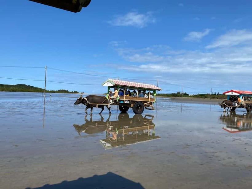 Iriomote: Mangrove SUP or Canoe and Yubujima sightseeing - Key points to know before you book