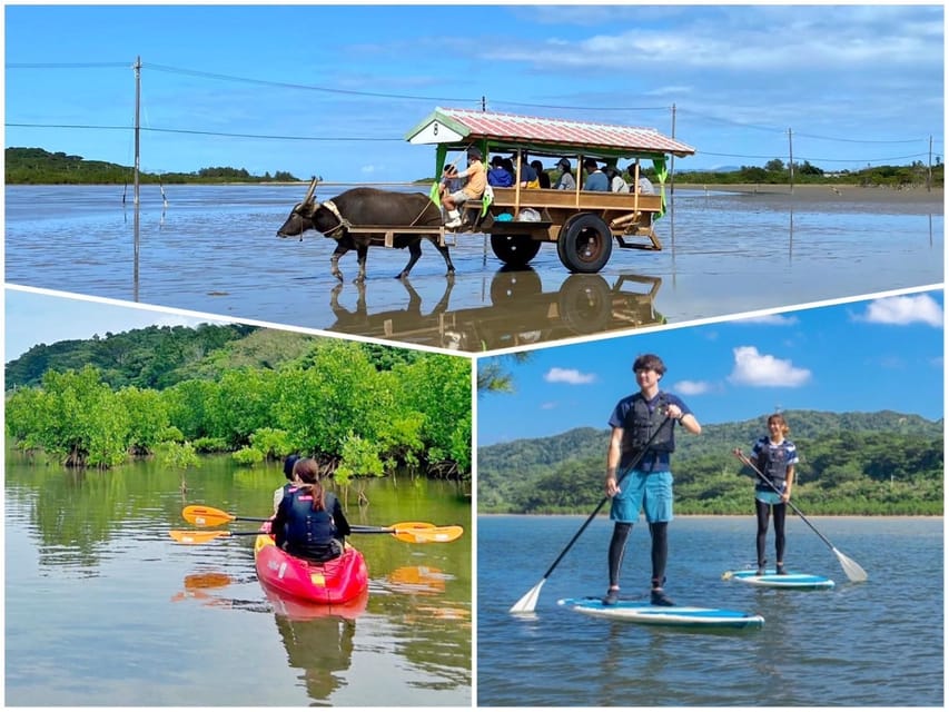 Iriomote: Mangrove SUP or Canoe and Yubujima sightseeing - The road to Yubujima and the water-buffalo crossing