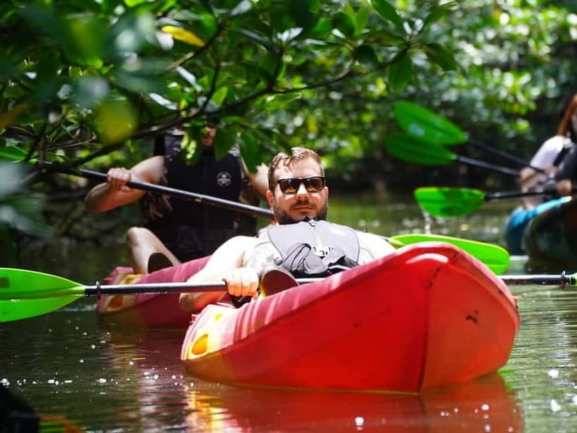 Iriomote: Mangrove SUP or Canoe and Yubujima sightseeing - What the guides add to the paddle