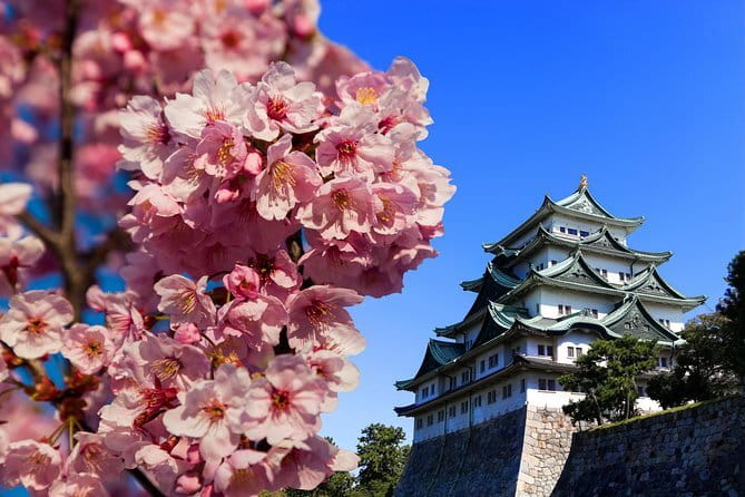 Ise’s Sacred Shrines and Captivating Coastlines - From Nagoya - How the small group changes the day