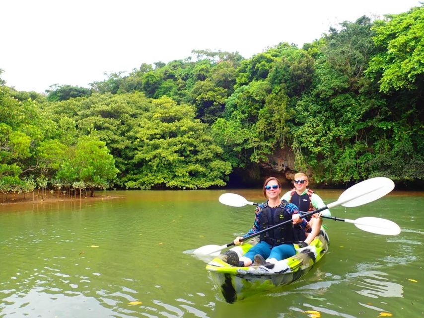 Ishigaki Island: 2-Hour Miyara River SUP or Canoeing Tour - Key points to know before you book