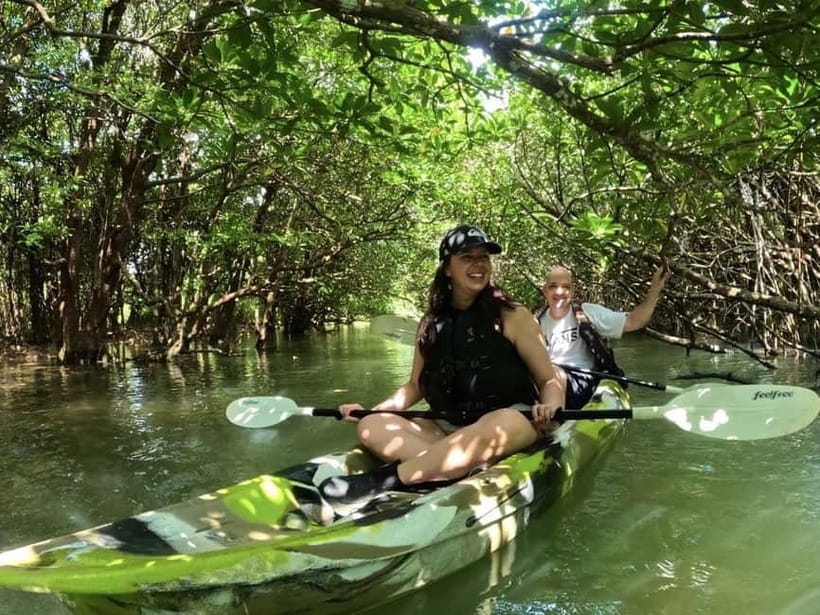 Ishigaki Island: 2-Hour Miyara River SUP or Canoeing Tour - Canoe or SUP: which should you choose?