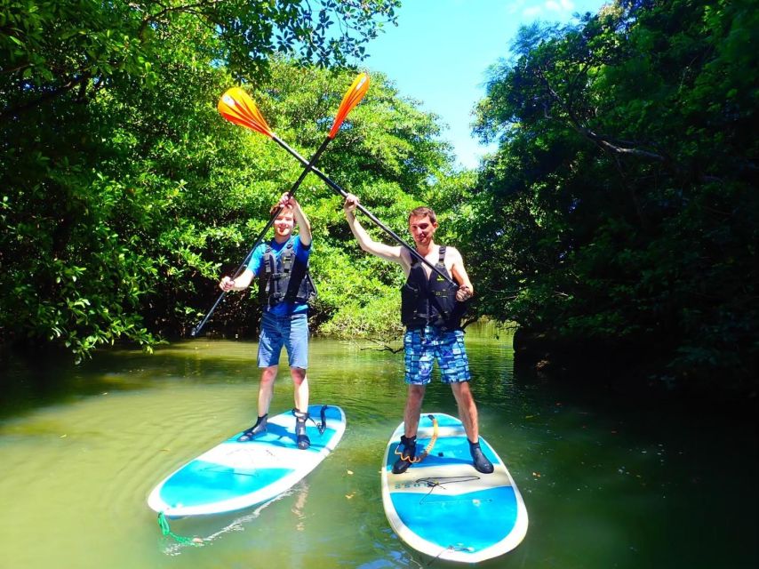Ishigaki Island: 2-Hour Miyara River SUP or Canoeing Tour - What makes this a good first paddle