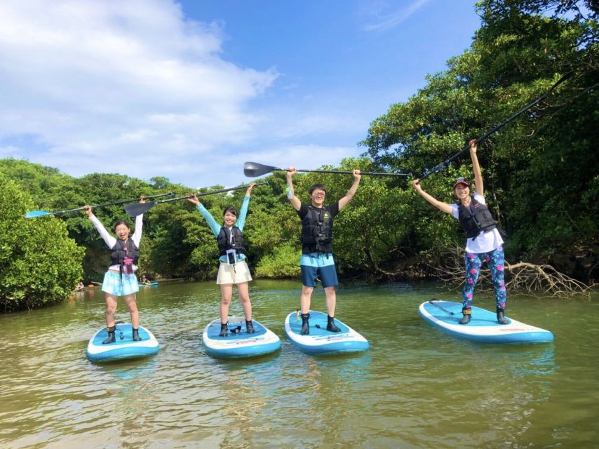 Ishigaki Island: 2-Hour Miyara River SUP or Canoeing Tour - Mangroves, birds, and the value of a guide