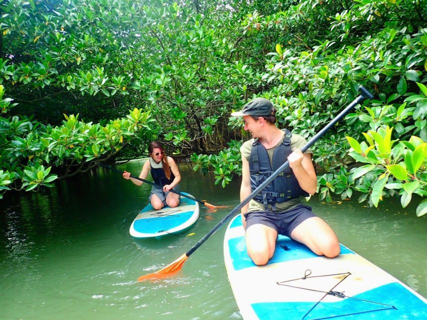 Ishigaki Island: 2-Hour Miyara River SUP or Canoeing Tour - Photos included, so keep your phone dry