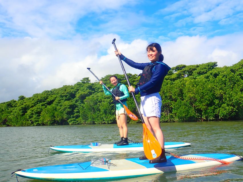 Ishigaki Island: 2-Hour Miyara River SUP or Canoeing Tour - Heat, rain, clothing, and the small practical details
