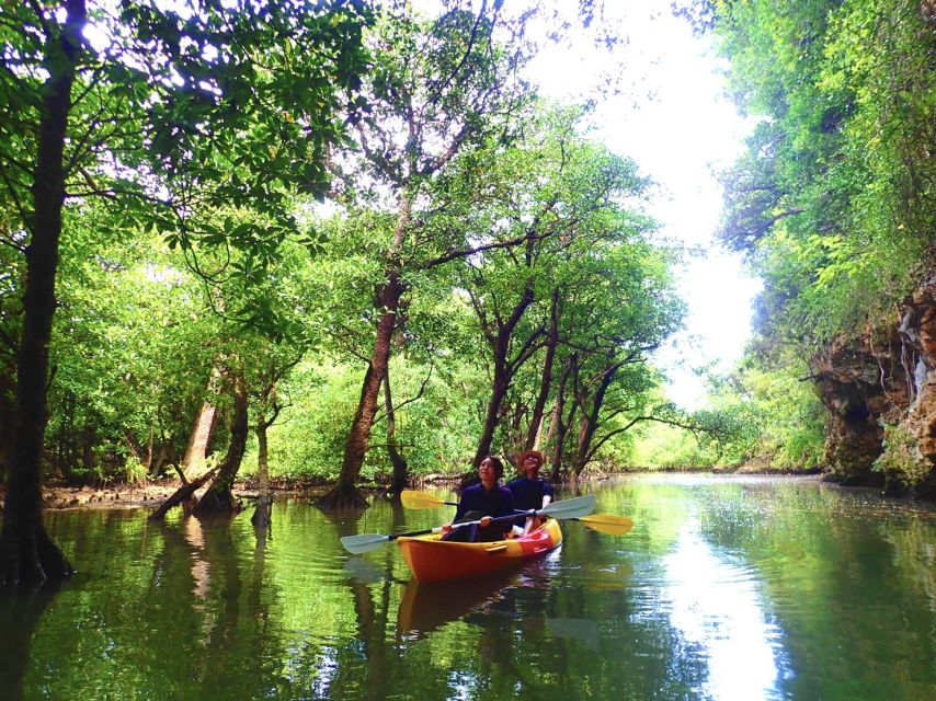 Ishigaki Island: 2-Hour Miyara River SUP or Canoeing Tour - Who should book this Ishigaki tour?