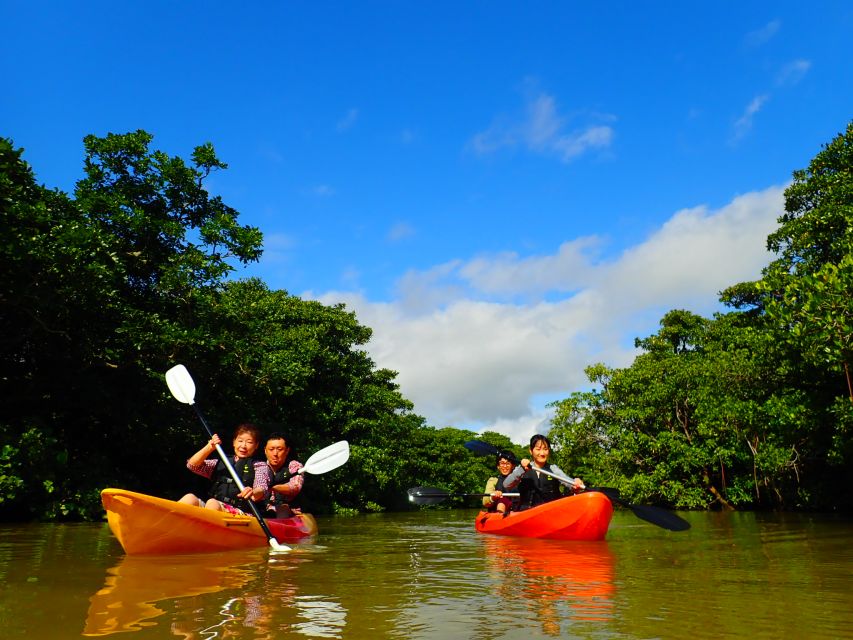 Ishigaki Island: 2-Hour Miyara River SUP or Canoeing Tour - Your 2-hour schedule from the harbor terminal