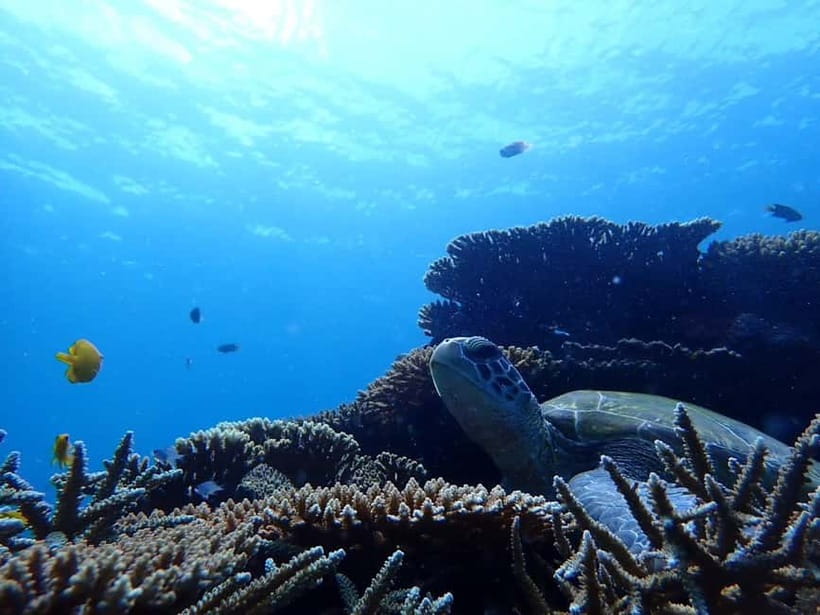 Ishigaki Island: Blue Cave Exploration & Snorkeling Tour - When weather changes the plan