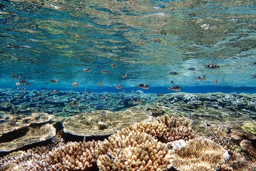 Ishigaki Island: Blue Cave Exploration & Snorkeling Tour - Gear, clothing, and the small practical details