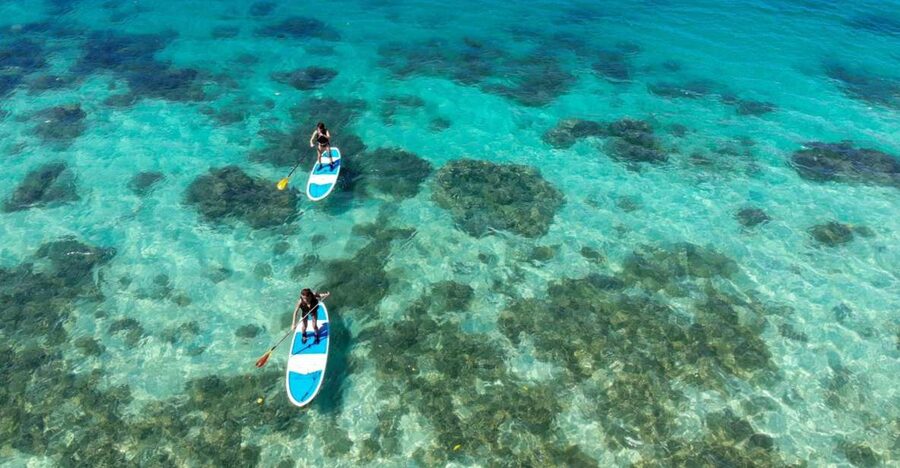 Ishigaki Island: SUP or Kayaking experience at Kabira Bay - Key points to know before you book