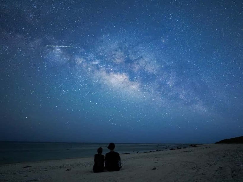 Ishigaki: Jungle Walk and Stargazing Night Tour - Meeting at the ferry terminal
