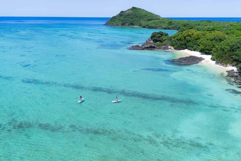 Ishigaki:Mangrove&Sea SUP/Kayak Tour with SLR&Drone footage - Should you book the mangrove and sea tour?