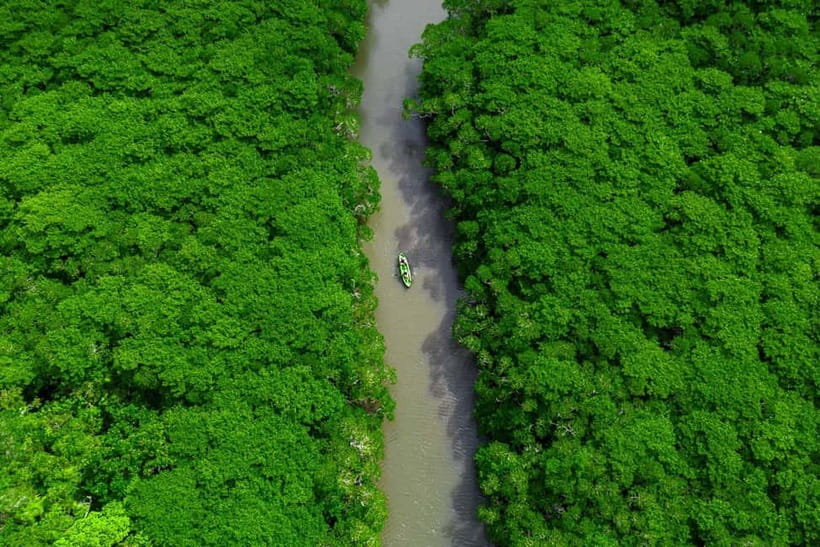 Ishigaki:Mangrove&Sea SUP/Kayak Tour with SLR&Drone footage - Heading out to the sea for DSLR photos