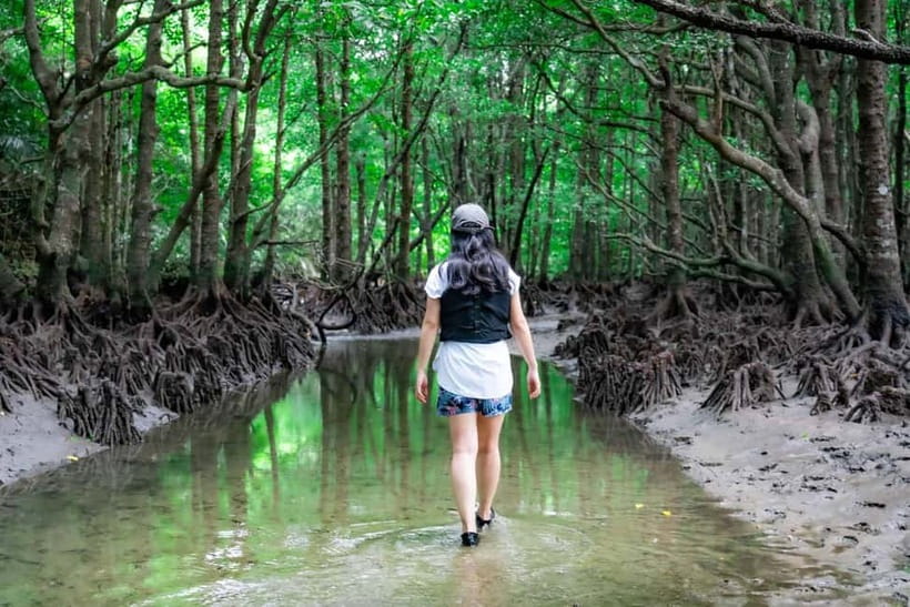 Ishigaki:Mangrove&Sea SUP/Kayak Tour with SLR&Drone footage - What the $48 price really covers
