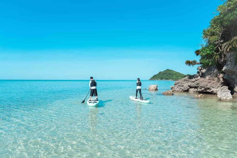 Ishigaki:Mangrove&Sea SUP/Kayak Tour with SLR&Drone footage - Who will enjoy this Ishigaki activity most