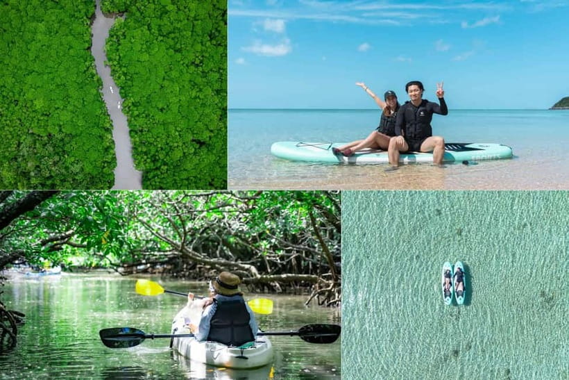 Ishigaki:Mangrove&Sea SUP/Kayak Tour with SLR&Drone footage - Looking for wildlife among roots and water