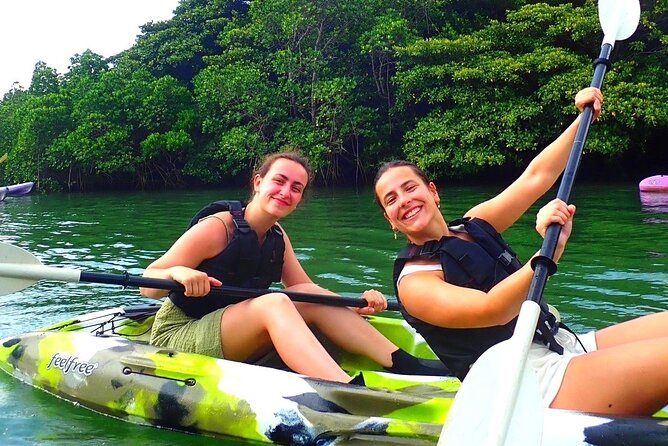 [Ishigaki]Mangrove SUP/Canoe + Blue Cave Snorkeling - Pickup, meeting points, and timing